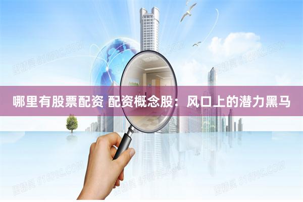 哪里有股票配资 配资概念股：风口上的潜力黑马