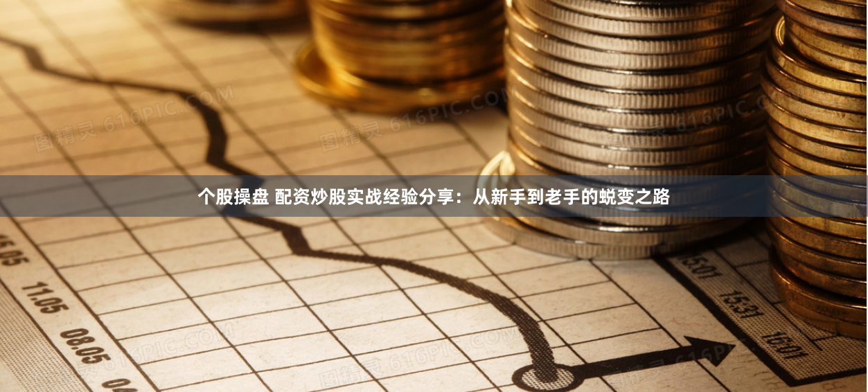 个股操盘 配资炒股实战经验分享：从新手到老手的蜕变之路