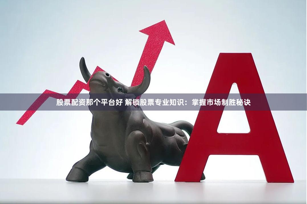 股票配资那个平台好 解锁股票专业知识：掌握市场制胜秘诀