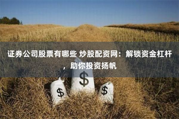 证券公司股票有哪些 炒股配资网：解锁资金杠杆，助你投资扬帆