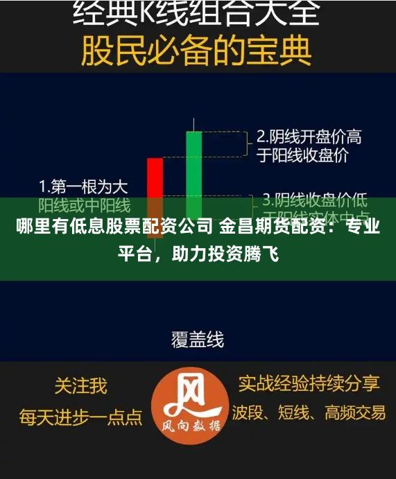哪里有低息股票配资公司 金昌期货配资：专业平台，助力投资腾飞