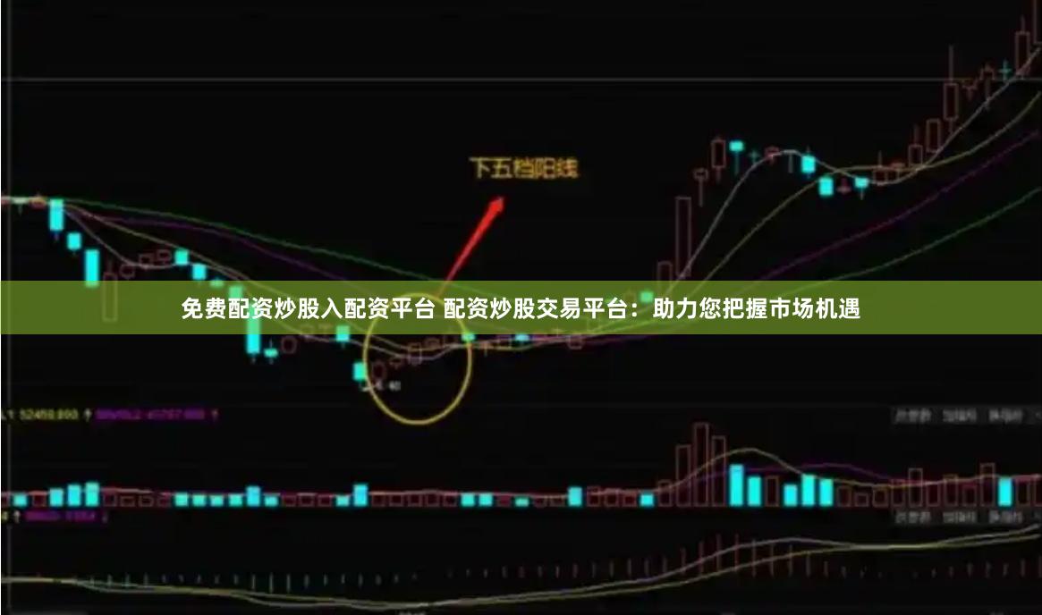 免费配资炒股入配资平台 配资炒股交易平台：助力您把握市场机遇